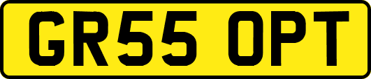 GR55OPT