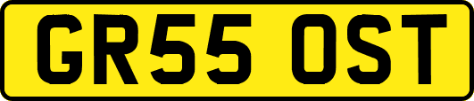GR55OST