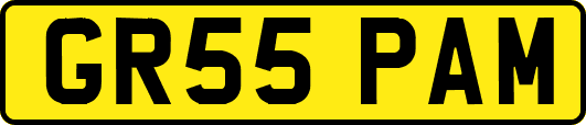 GR55PAM