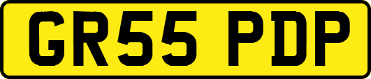 GR55PDP