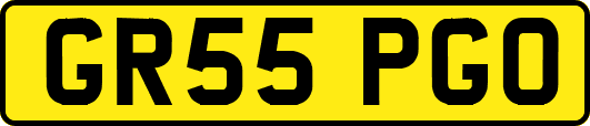 GR55PGO
