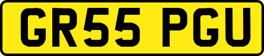 GR55PGU