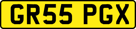 GR55PGX