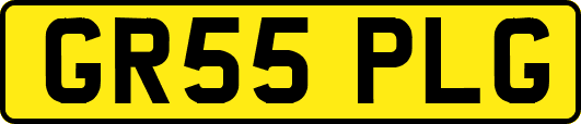 GR55PLG