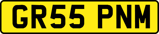 GR55PNM