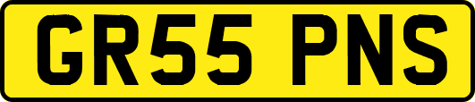 GR55PNS