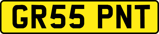 GR55PNT