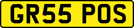 GR55POS