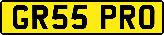 GR55PRO