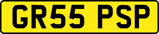 GR55PSP