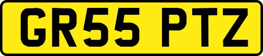 GR55PTZ