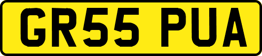 GR55PUA