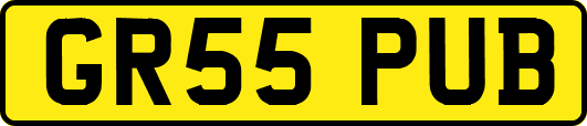 GR55PUB