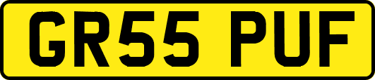 GR55PUF