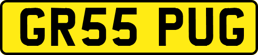 GR55PUG