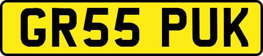 GR55PUK
