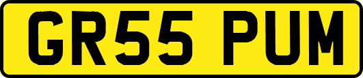 GR55PUM
