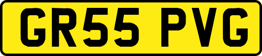 GR55PVG