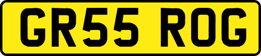 GR55ROG