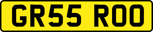 GR55ROO