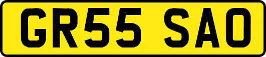 GR55SAO