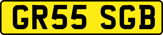 GR55SGB
