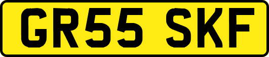 GR55SKF