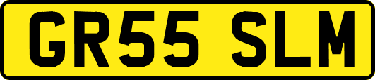 GR55SLM