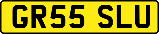 GR55SLU