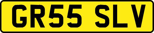 GR55SLV