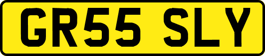 GR55SLY