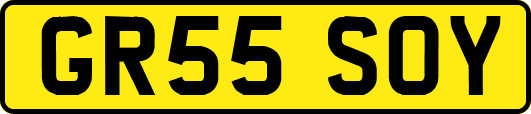 GR55SOY