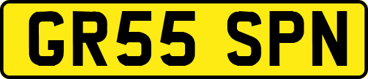 GR55SPN