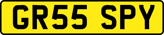 GR55SPY
