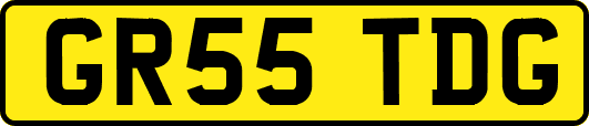 GR55TDG