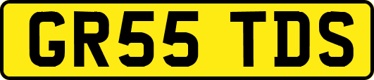 GR55TDS