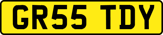 GR55TDY