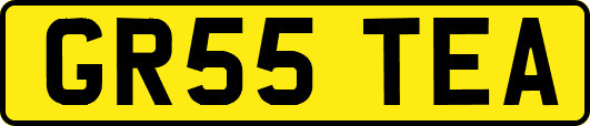 GR55TEA