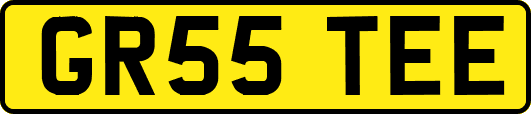 GR55TEE