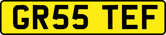 GR55TEF