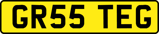 GR55TEG