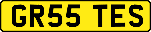 GR55TES