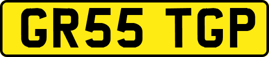GR55TGP