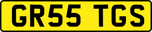 GR55TGS