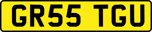 GR55TGU