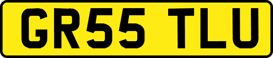 GR55TLU