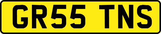 GR55TNS