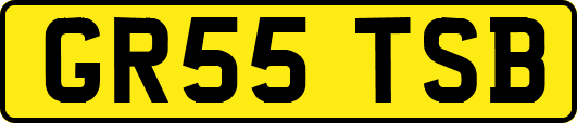 GR55TSB