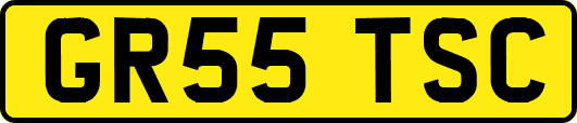 GR55TSC