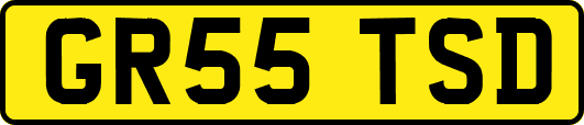GR55TSD